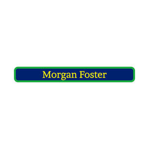 mini pencil labels solid border navy sea green yellow