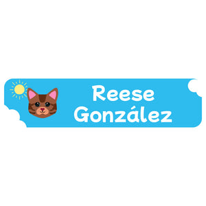 cats blue rectangle name labels