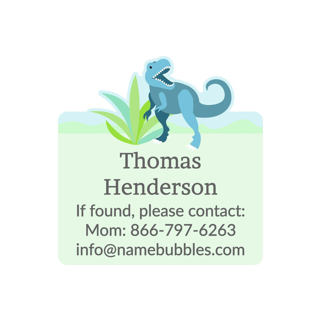 Custom Ironing Labels, School Labels, Personalized Names, Dinosaur